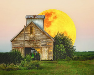 Crib Moon