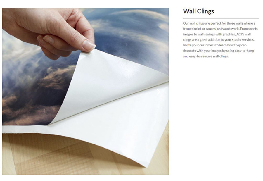 Wall Cling