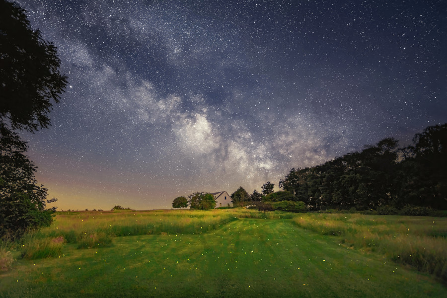 Fireflies Milkyway