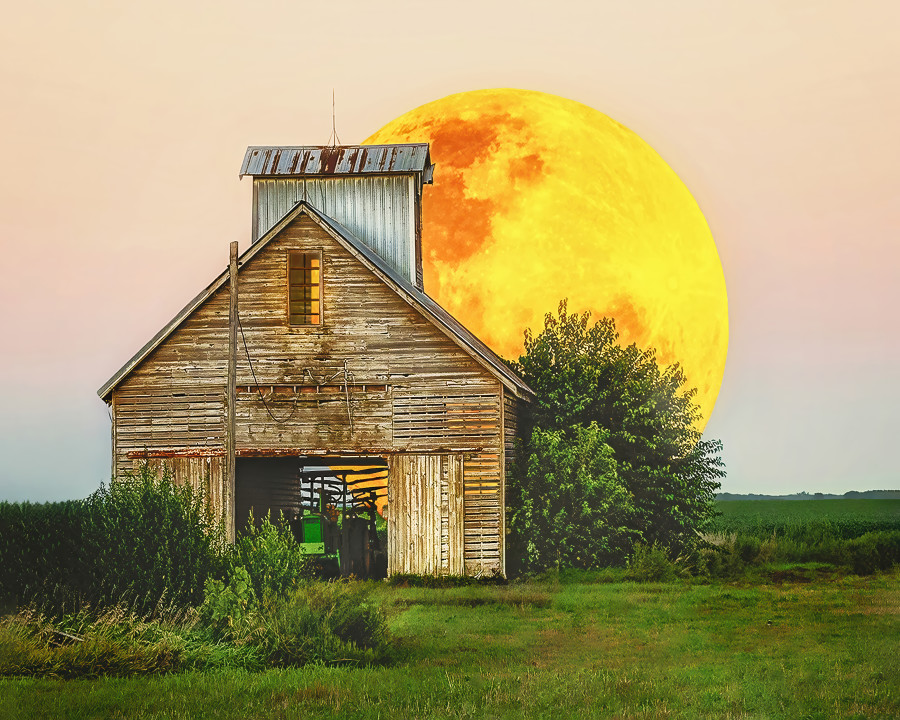 Crib Moon